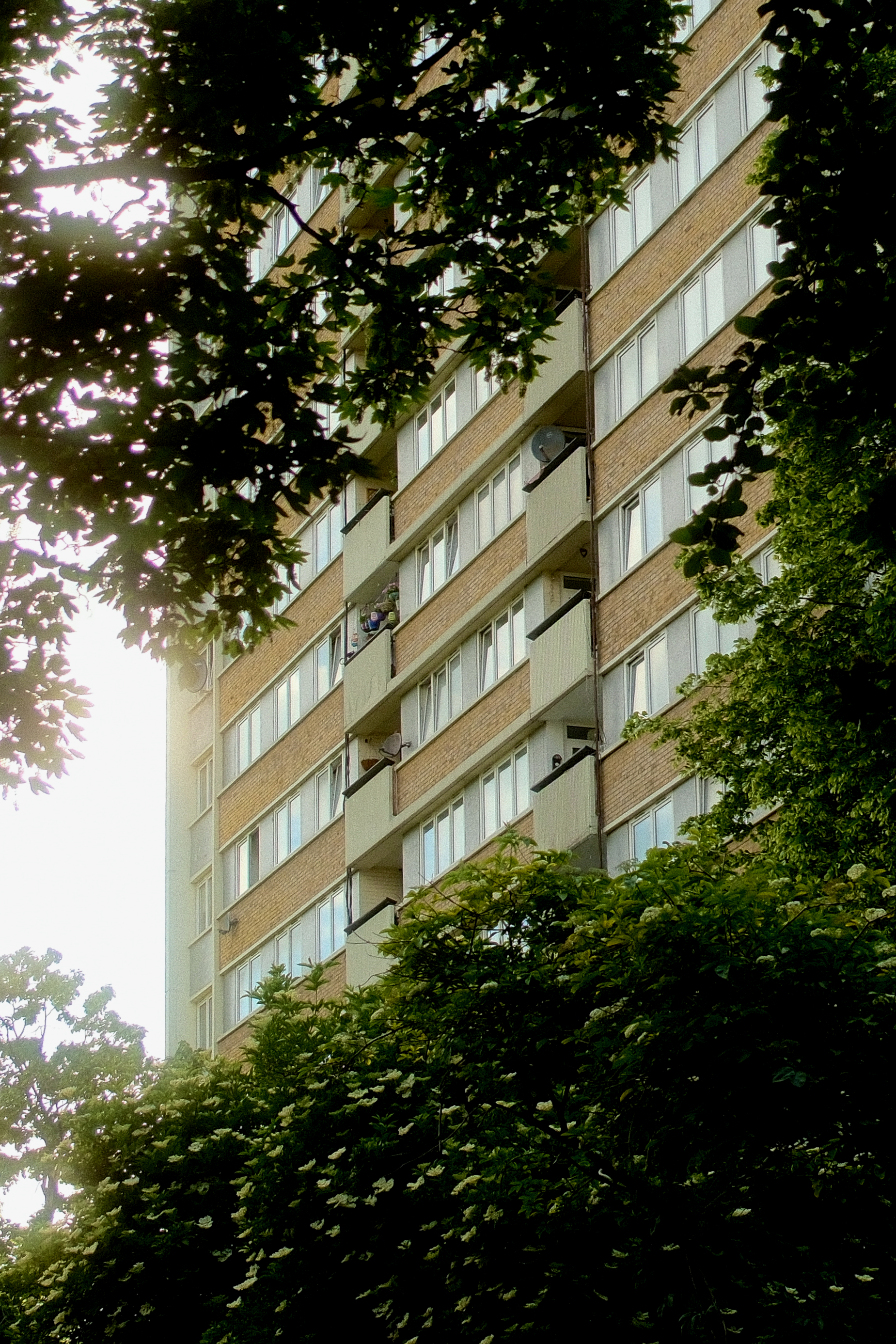 A tall brick residential block framed by tree leaves, sunlight breaking through the foliage